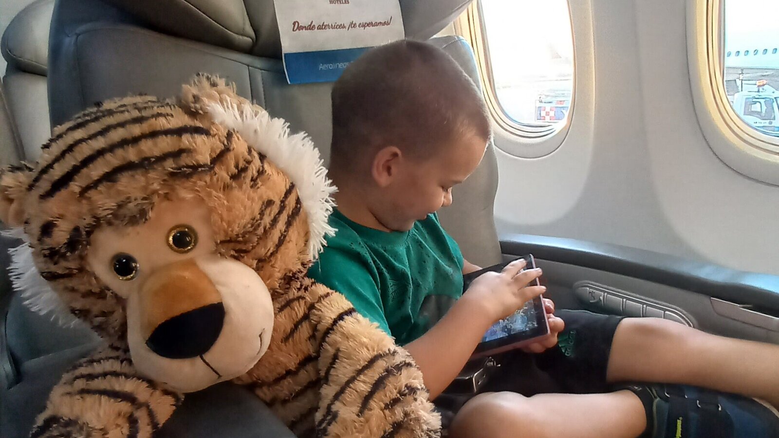 Sam sitting calmly on an airplane beside a stuffed tiger.